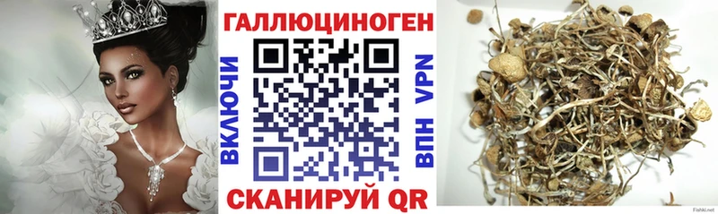 Псилоцибиновые грибы Psilocybe  Серафимович 